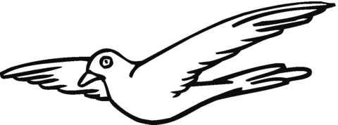 Pigeon 11 Coloring page