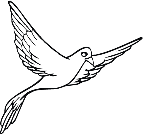 Pigeon 14 Coloring page