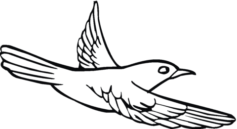 Pigeon 15 Coloring page