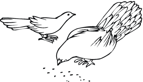 Pigeon 21 Coloring page