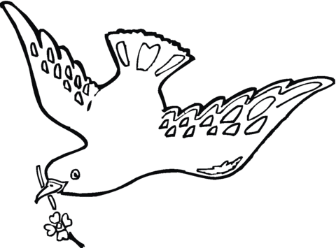 Pigeon 4 Coloring page