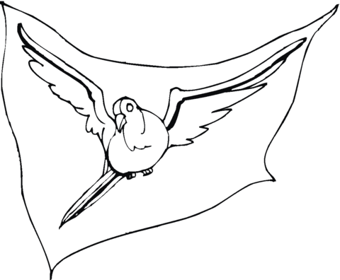 Pigeon 6 Coloring page