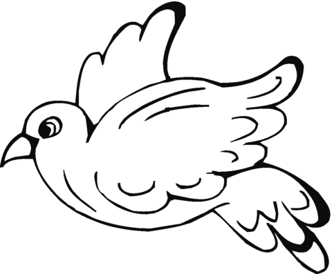 Pigeon 7 Coloring page