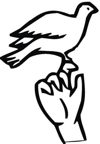 Pigeon 9 Coloring page