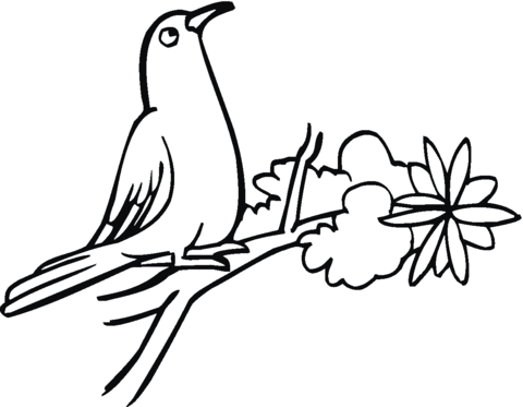 Pigeon Stands On Tree Coloring page