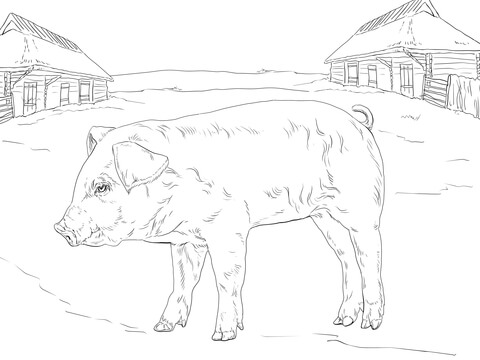 Piglet Coloring page