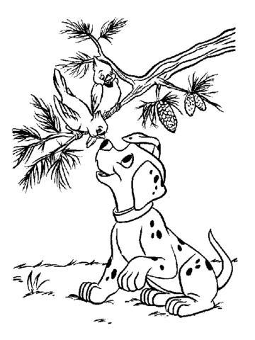 Lucky is Playing With Birds Coloring page