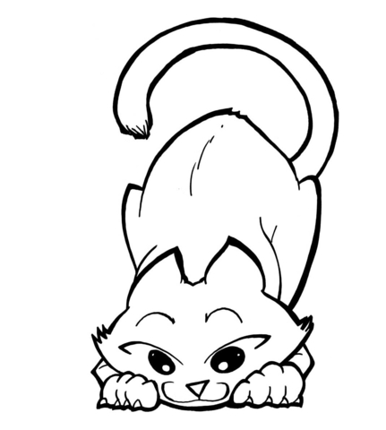 Playful Kitty Coloring page