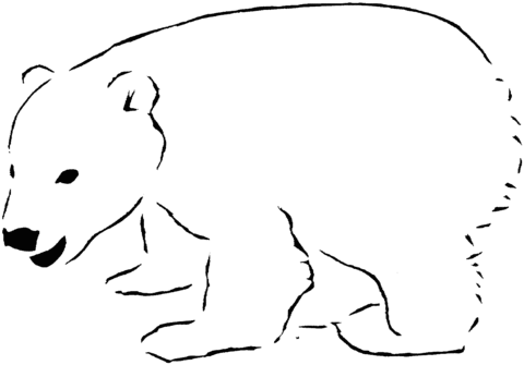 Polar Bear 12 Coloring page