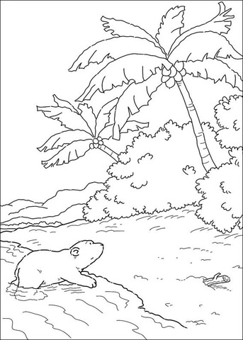 Polar Bear In The Island  Coloring page