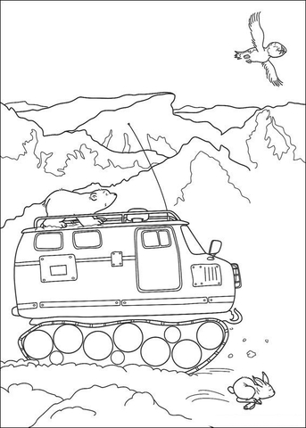 Little Polar Bear Is on the vehicle  Coloring page