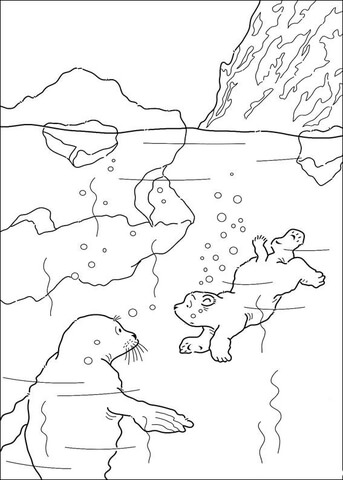 Polar Bear Is Swimming with a seal Coloring page