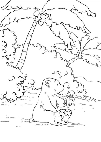 Little Polar Bear is eating a banana  Coloring page