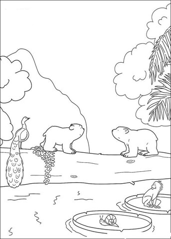 Polar Bears Coloring page