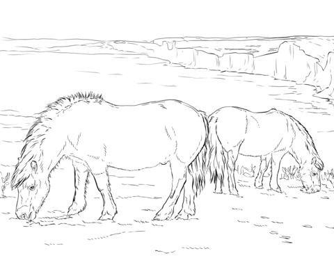 Two ponies grazing  Coloring page