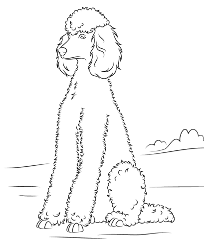 Poodle Coloring page