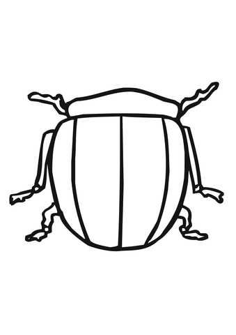 Colorado beetle Coloring page