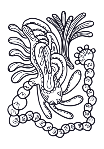 Psychedelic Pattern Coloring page