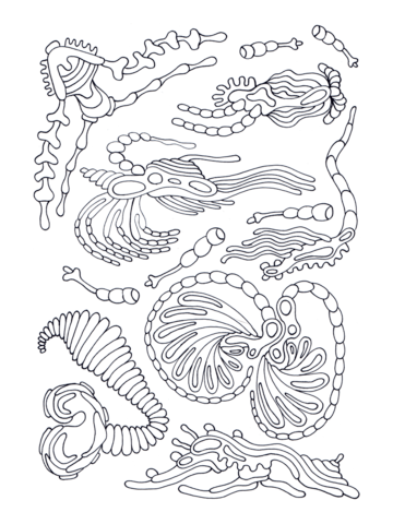 Psychedelic Pattern Coloring page