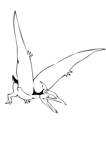 Pteranodon Coloring page