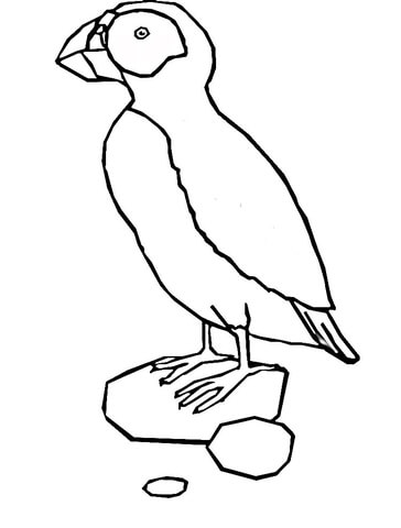 Puffin  Coloring page