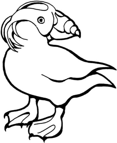 Puffin Turns Around  Coloring page