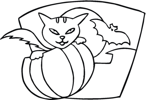 Pumpkin Cat and Bat  Coloring page