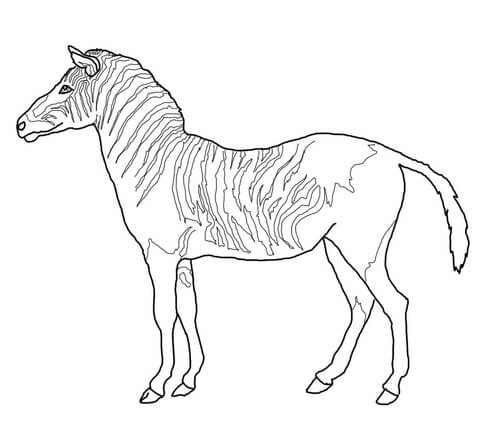 Quagga Coloring page