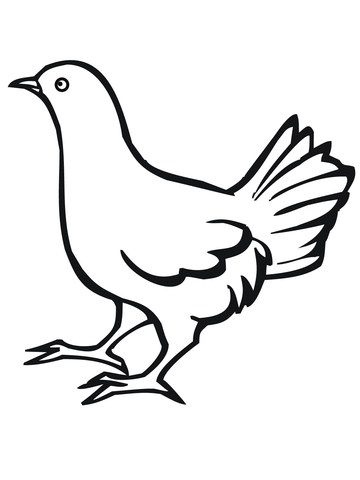 Quail Ground Dwelling Bird Coloring page