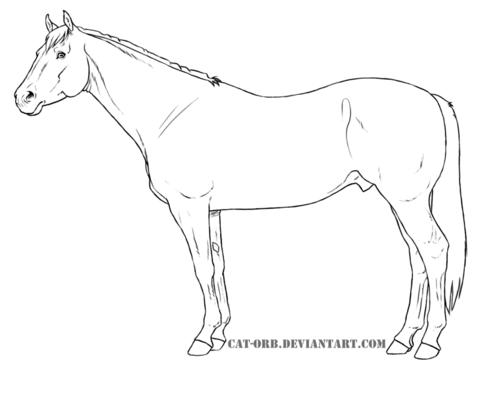 Quarter Horse Coloring page