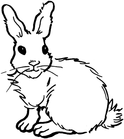 Rabbit 18 Coloring page