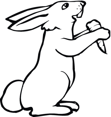 Rabbit 25 Coloring page