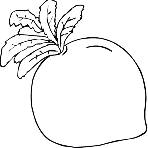 Radish 1 Coloring page