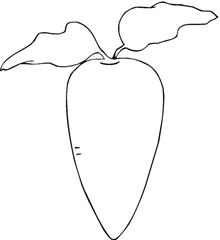 Radish 3 Coloring page