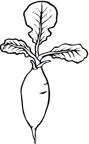 Radish 4 Coloring page