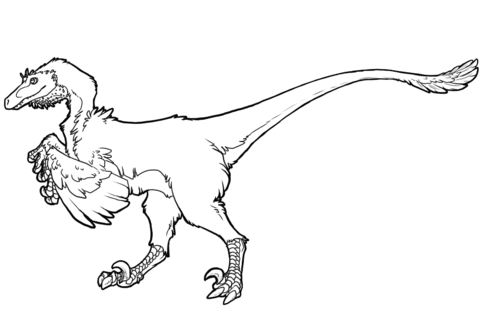 Raptor Dinosaur Coloring page