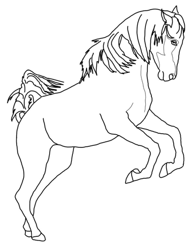 Rearing Arabian Horse Coloring page