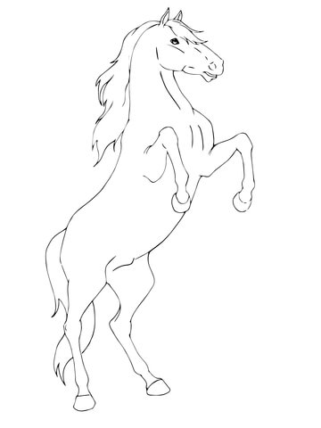 Rearing Horse Coloring page