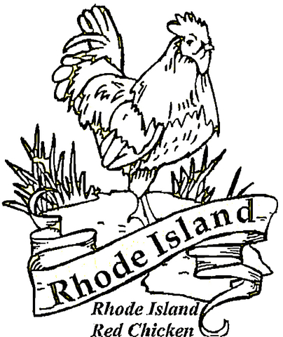 Red Chicken Of Rhode Island Coloring page