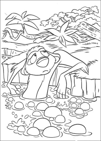 Timon in a hot well Coloring page