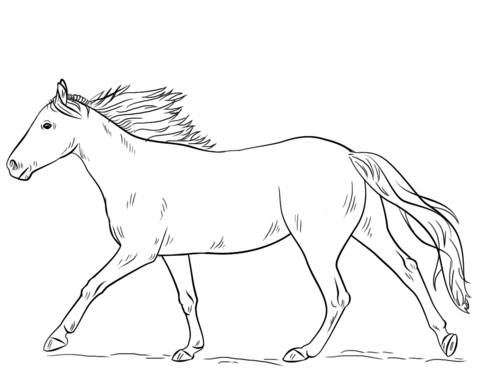 Running Horse Coloring page