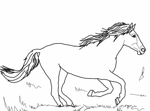 Running Mustang Coloring page