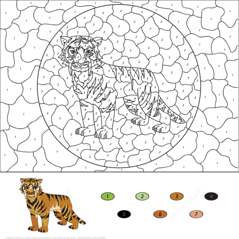 Saber Toothed Tiger Color by Number Coloring page