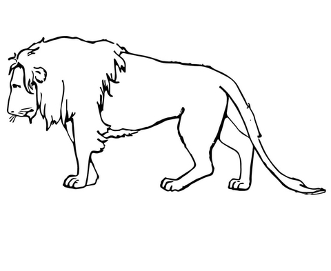 Sad Lion Coloring page