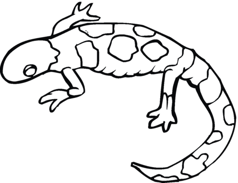 Yellow-spotted mole salamander Coloring page