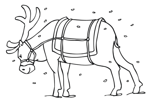 Santa's Reindeer Coloring page