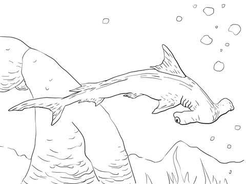 Scalloped Hammerhead Shark Coloring page