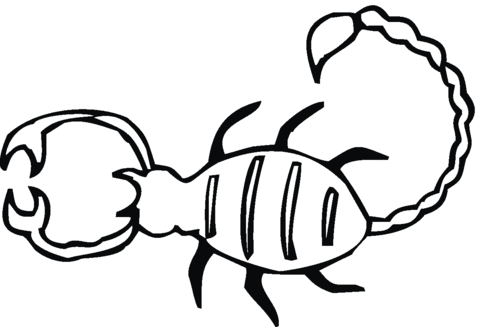 Scorpion 19 Coloring page