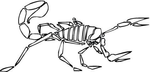 Scorpion 5 Coloring page