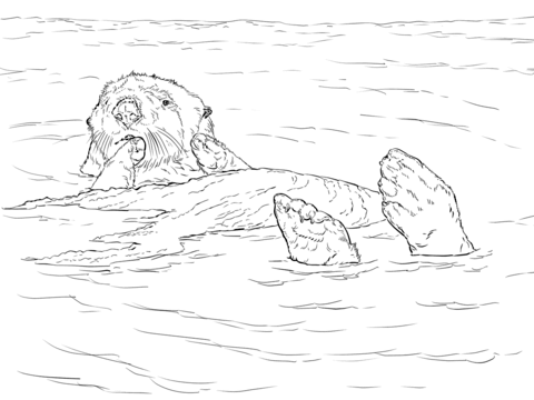 Sea Otter Floating Coloring page